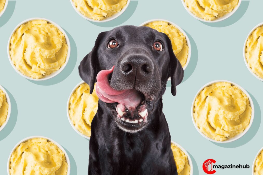 can dogs eat potatoes can dogs eat potatoes